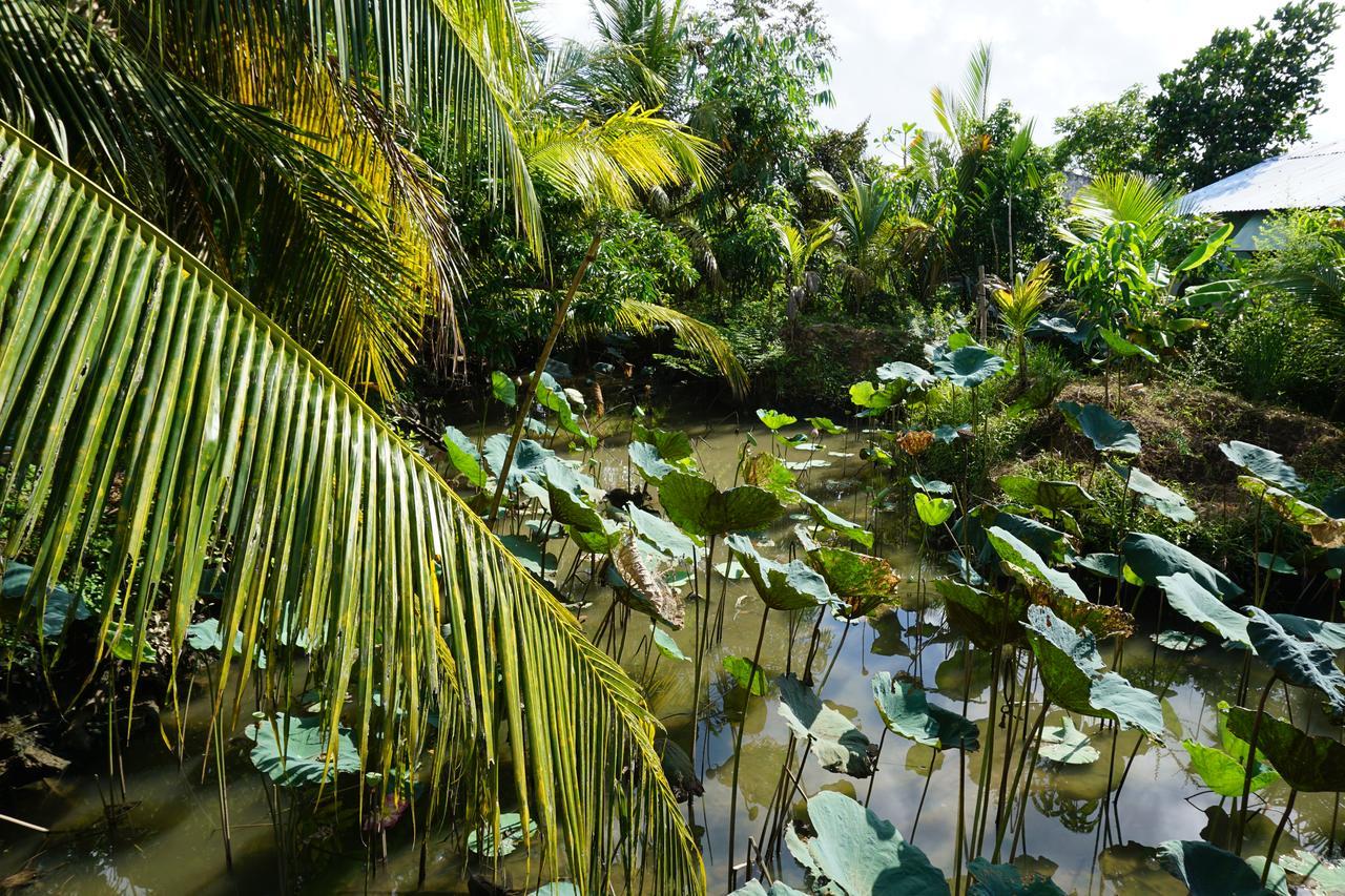 Mekong Way Homestay Cái Bè Ngoại thất bức ảnh