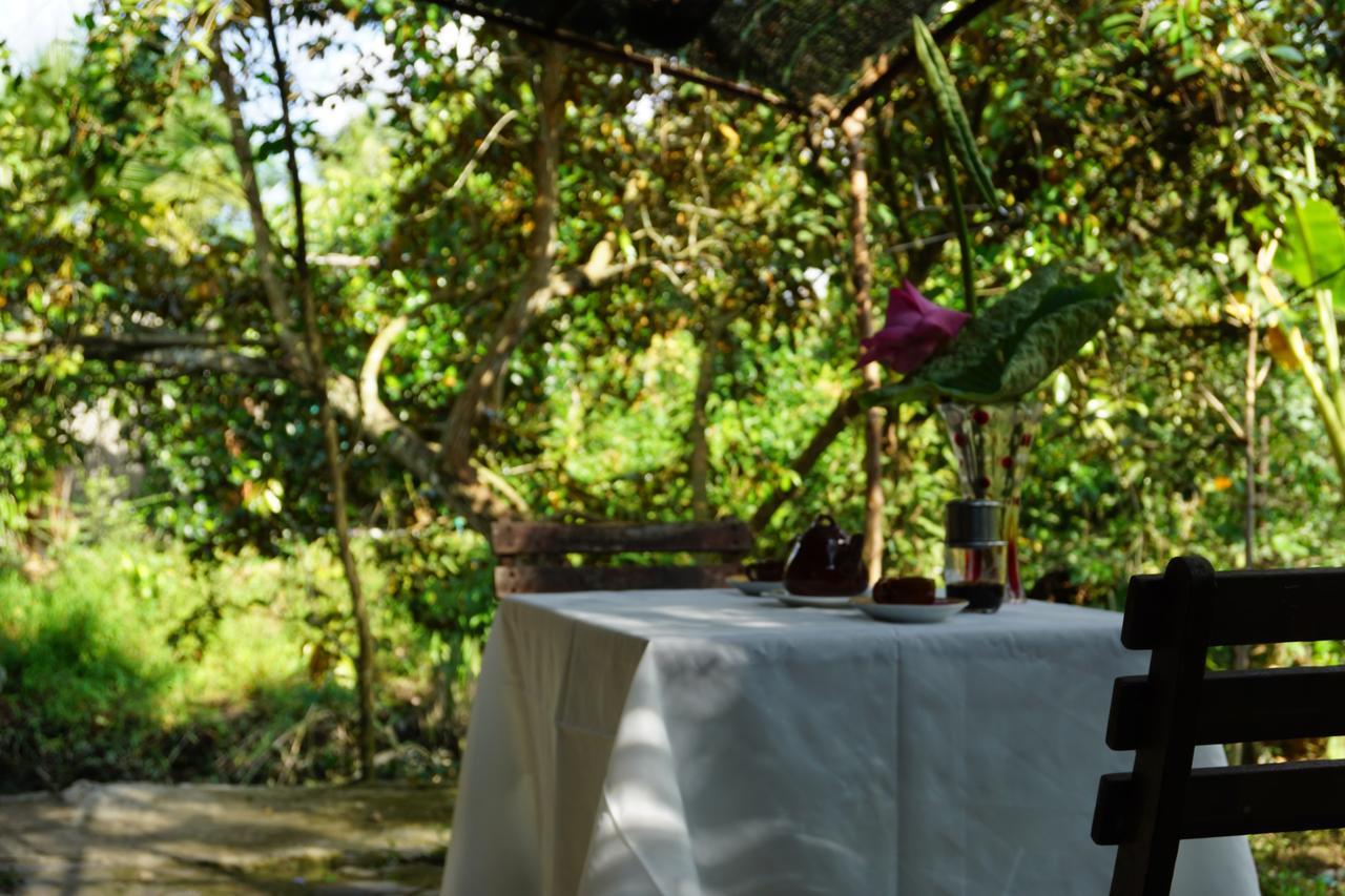 Mekong Way Homestay Cái Bè Ngoại thất bức ảnh